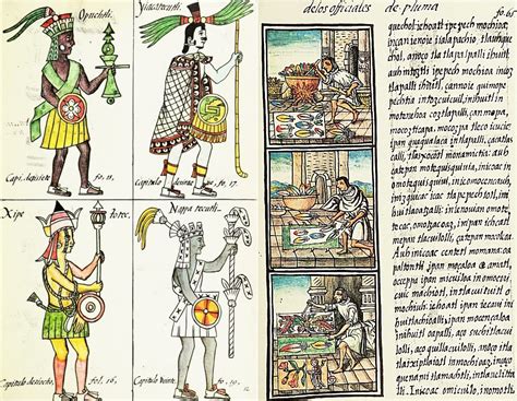 Commonly called the Florentine Codex, the manuscript came into the possession of the Medici no later than 1588 and is now in the Medicea Laurenziana Library in Florence. Sahagún began conducting research into indigenous cultures in the 1540s, using a methodology that scholars consider to be a precursor to modern anthropological field technique. 
